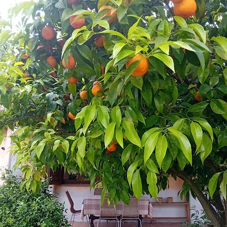 Casa Pratolungo ξενώνας Velletri Εξωτερικό φωτογραφία