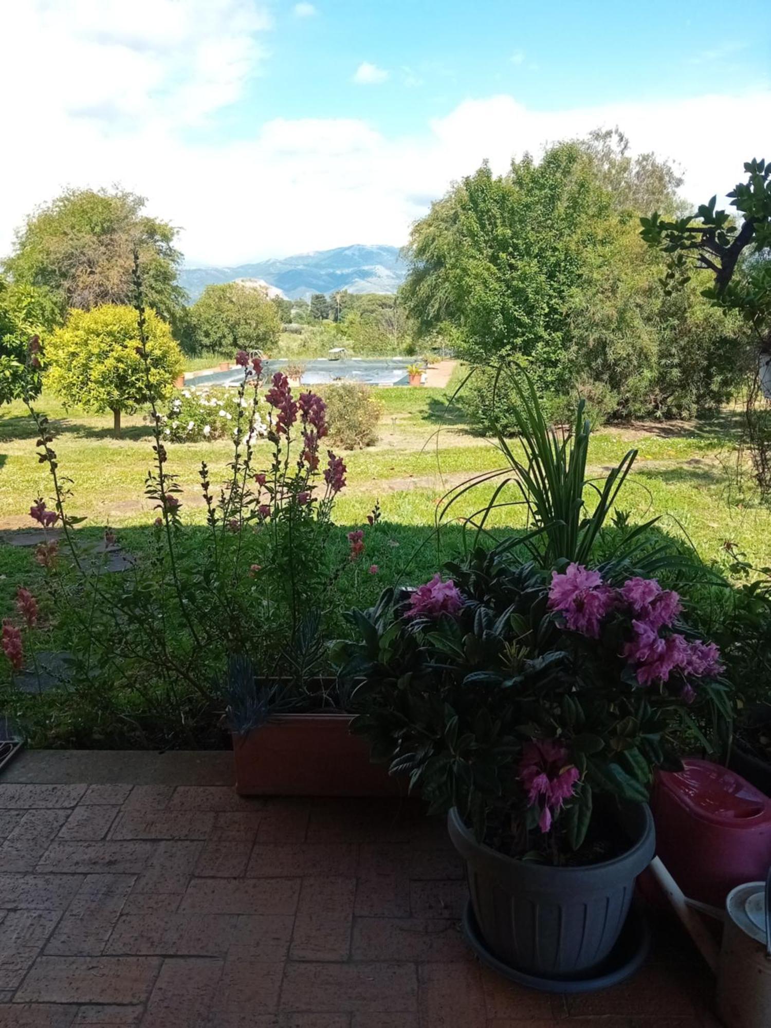Casa Pratolungo ξενώνας Velletri Εξωτερικό φωτογραφία