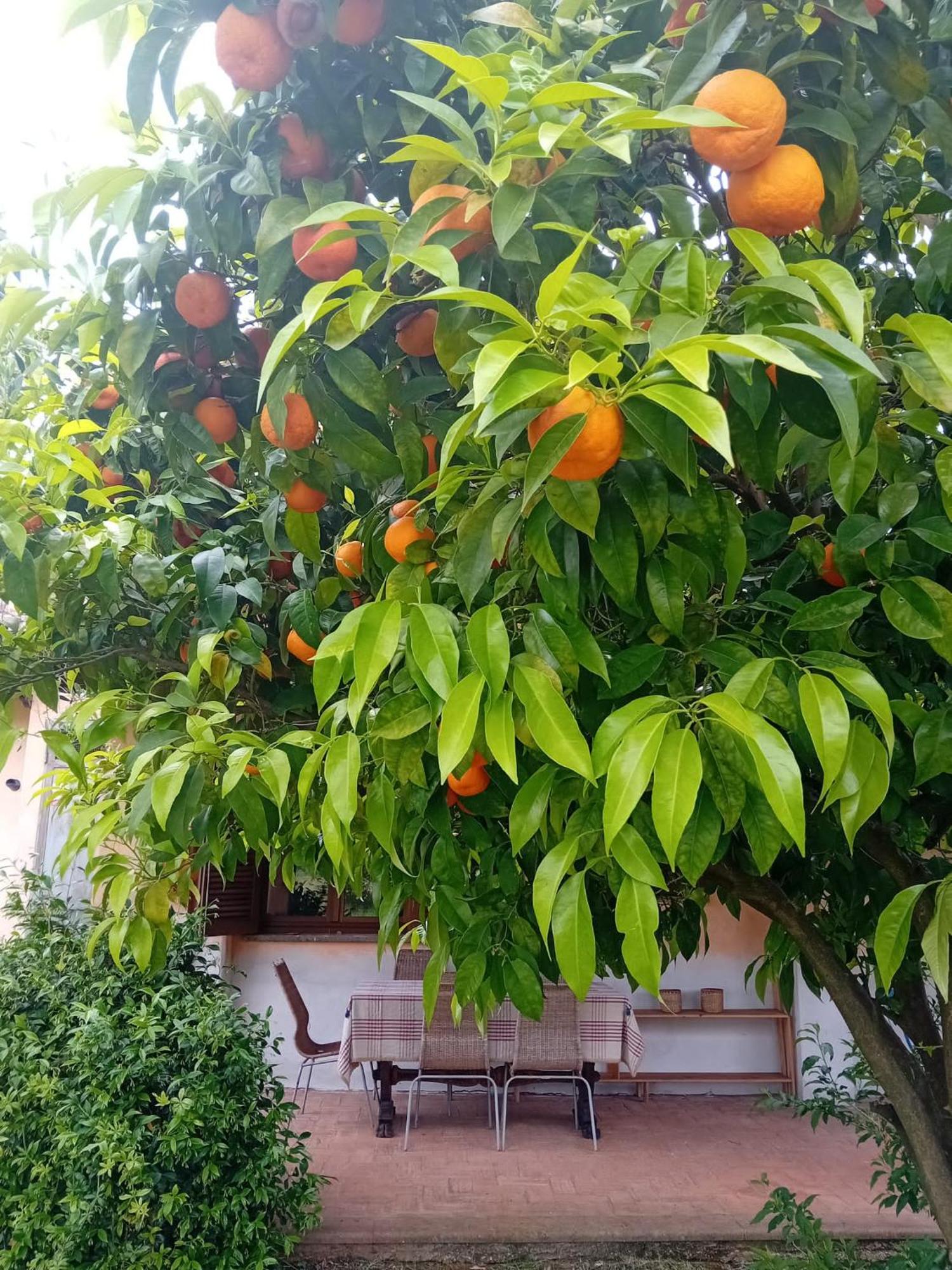 Casa Pratolungo ξενώνας Velletri Εξωτερικό φωτογραφία